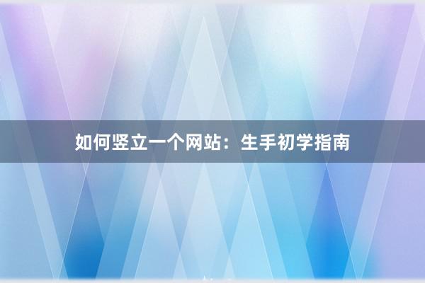 如何竖立一个网站：生手初学指南