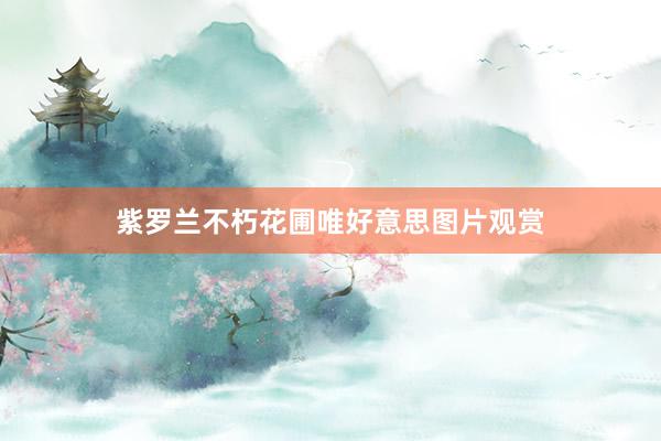 紫罗兰不朽花圃唯好意思图片观赏