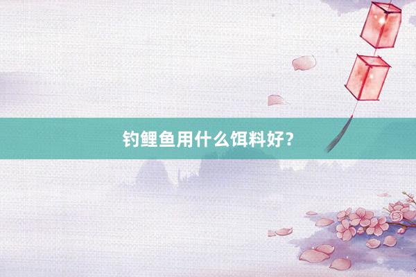 钓鲤鱼用什么饵料好？